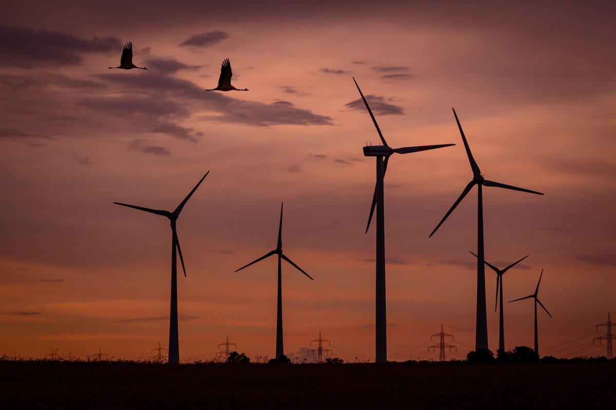 Guia Jornalístico sobre Energías Renováveis